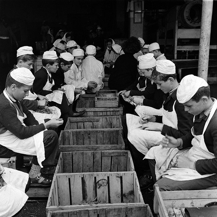 minerva_1986_c3_c8r3_013