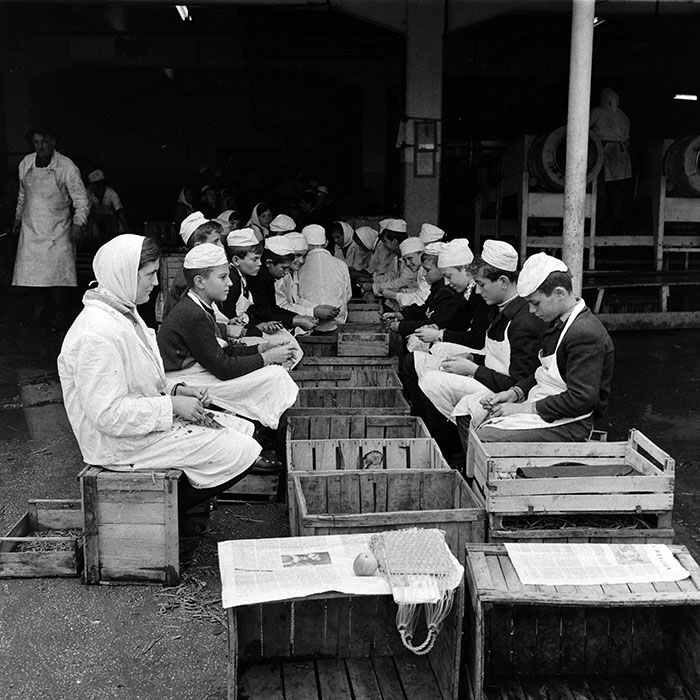 minerva_1986_c3_c8r3_014