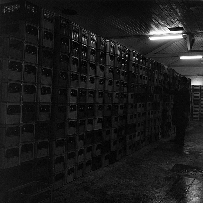 minerva_1986_c3_c8r3_015