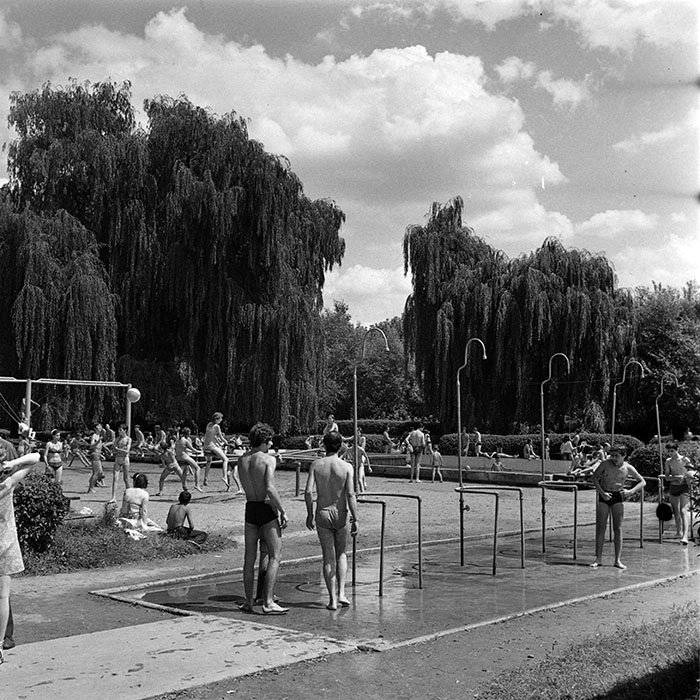 minerva_1986_c3_c8r4_012