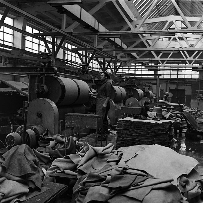 minerva_1986_c3_c8r5_001