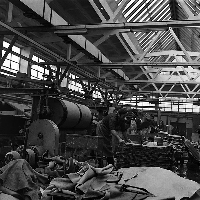 minerva_1986_c3_c8r5_002