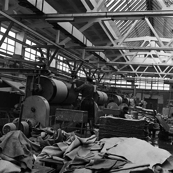 minerva_1986_c3_c8r5_003