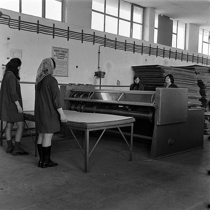 minerva_1986_c3_c8r5_004