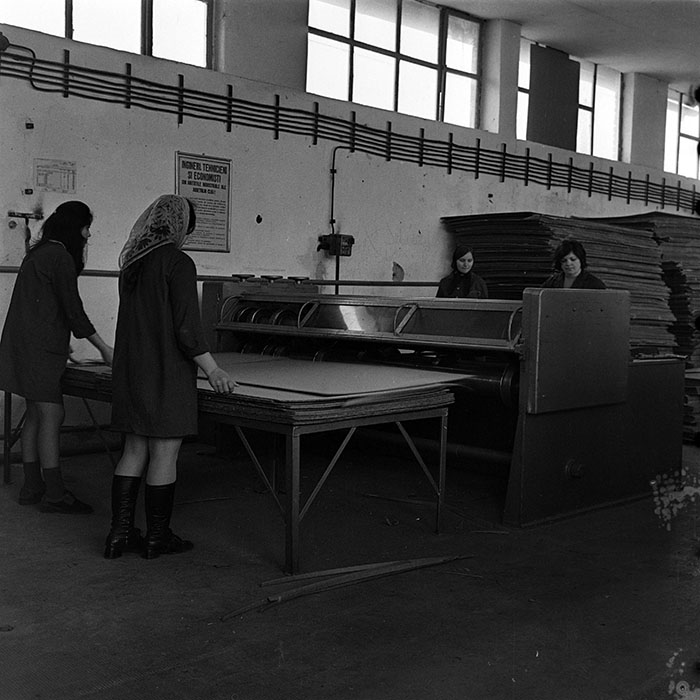 minerva_1986_c3_c8r5_007