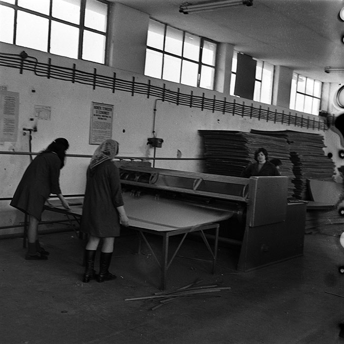 minerva_1986_c3_c8r5_008