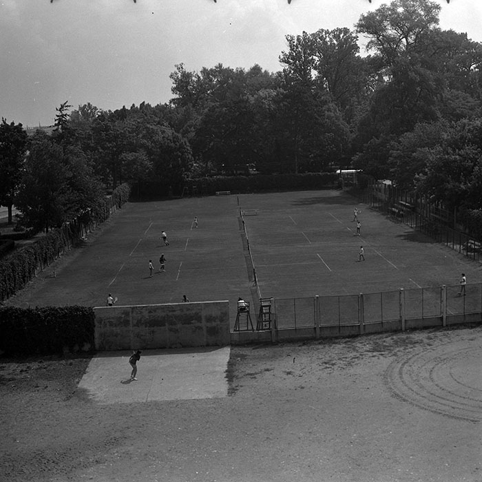 minerva_1986_c3_c9r1_006