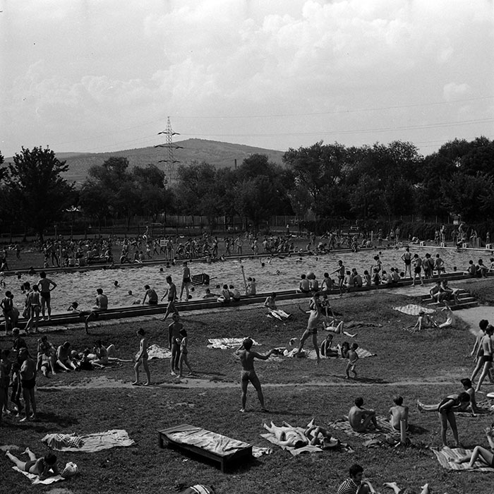 minerva_1986_c3_c9r2_002