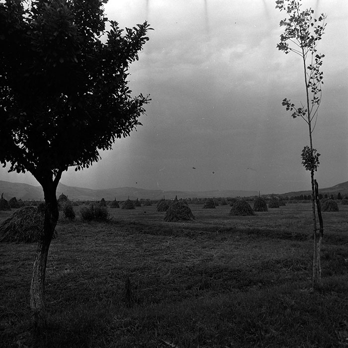 minerva_1986_c3_c9r3_001