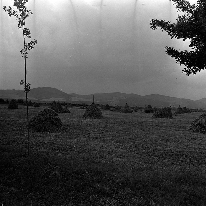 minerva_1986_c3_c9r3_002