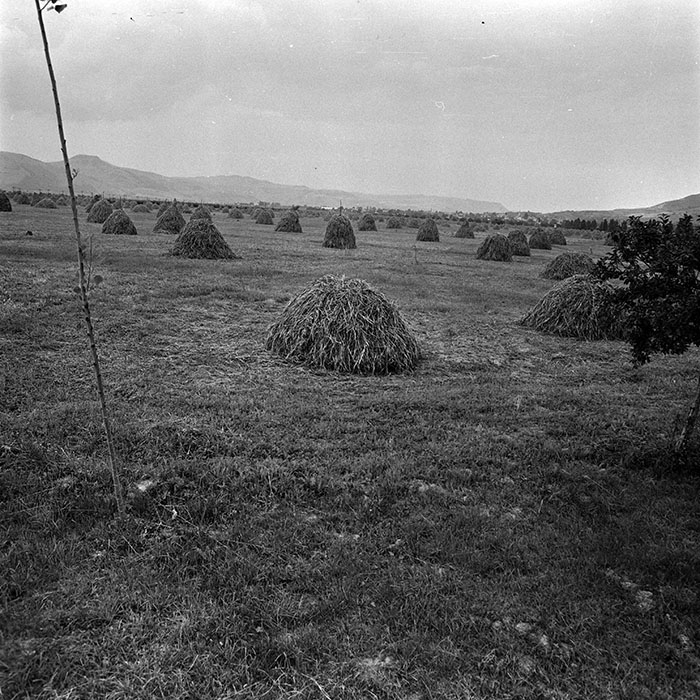 minerva_1986_c3_c9r3_003