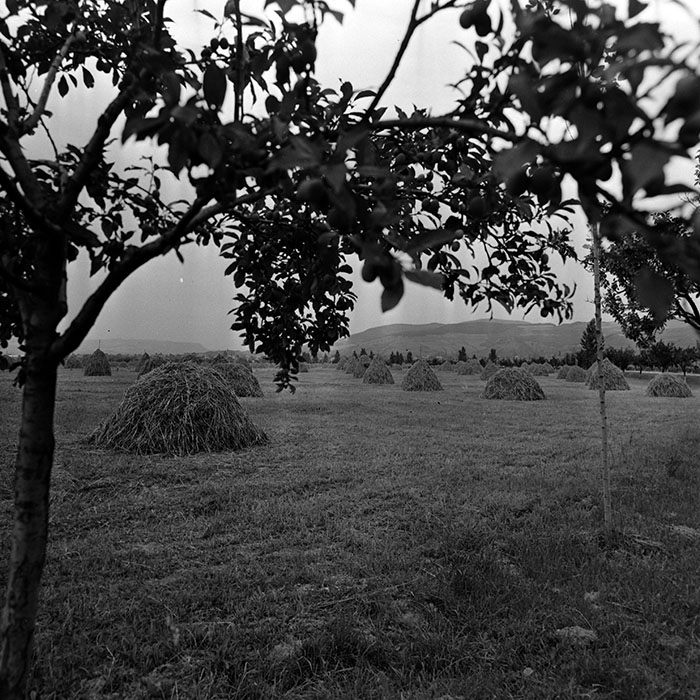 minerva_1986_c3_c9r3_004