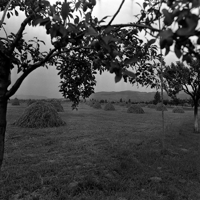 minerva_1986_c3_c9r3_005