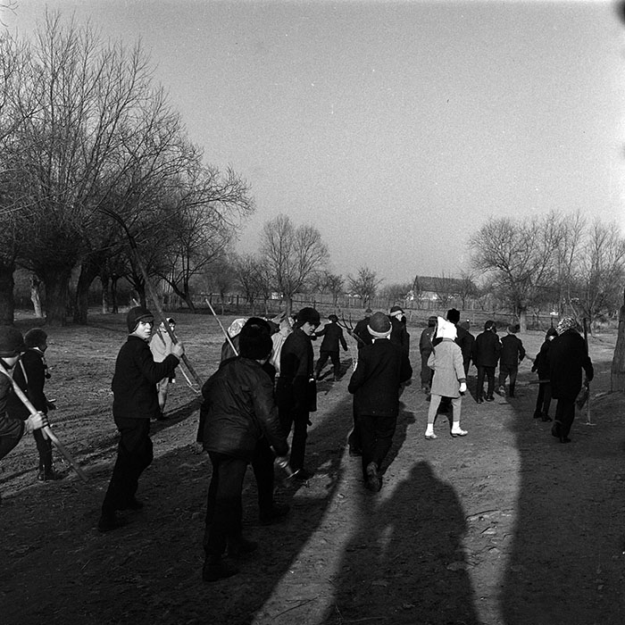 minerva_1986_c3_c9r4_003