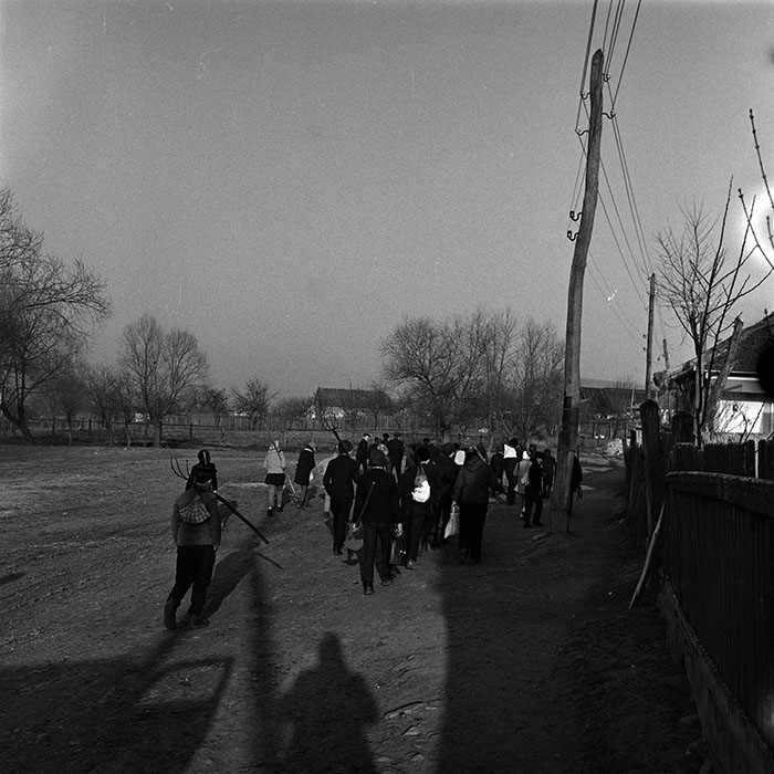 minerva_1986_c3_c9r4_004