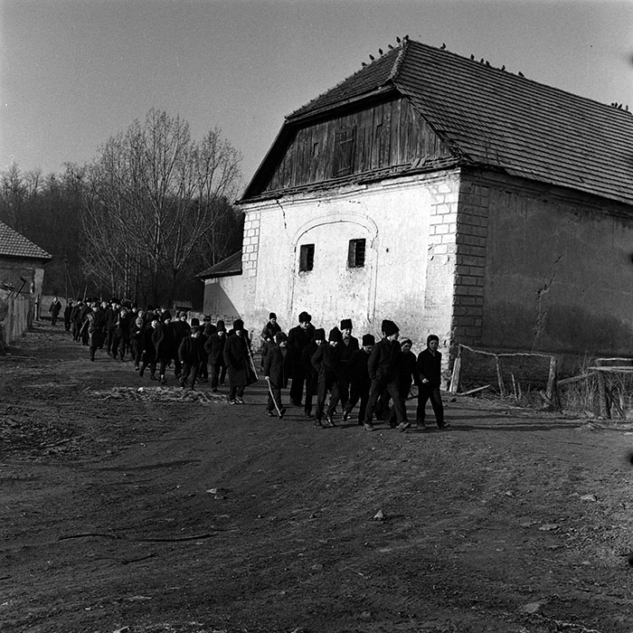 minerva_1986_c3_c9r4_006