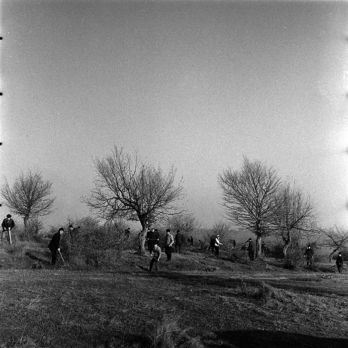 minerva_1986_c3_c9r4_009