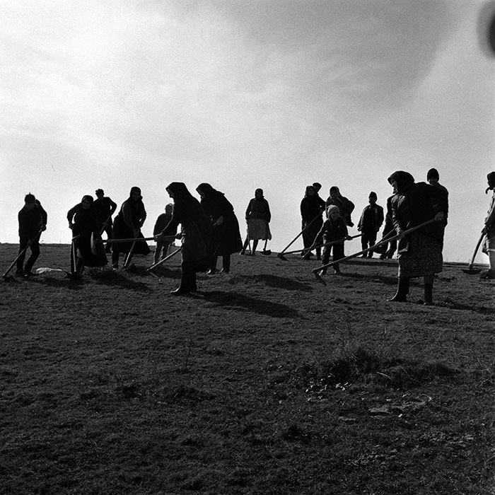 minerva_1986_c3_c9r4_019