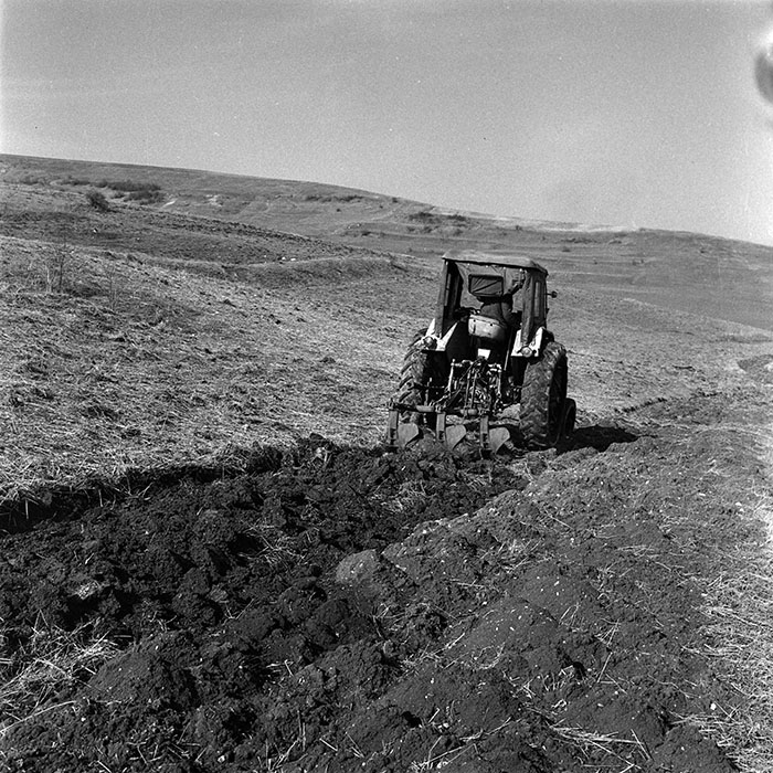 minerva_1986_c3_c9r4_020