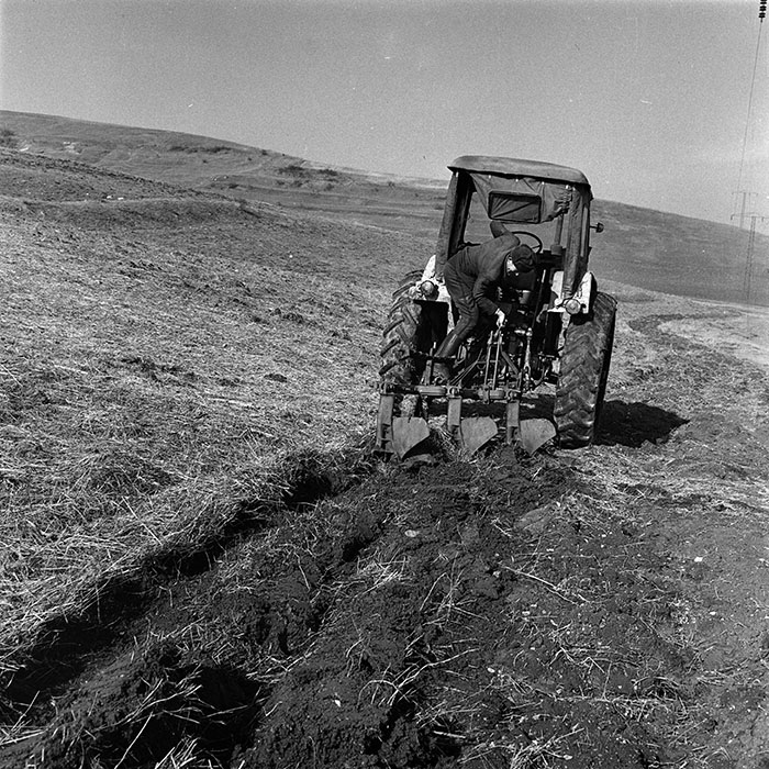 minerva_1986_c3_c9r4_021