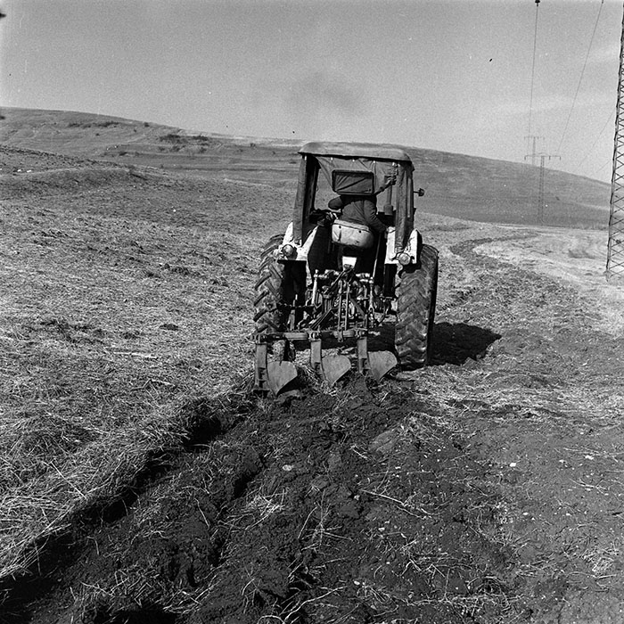 minerva_1986_c3_c9r4_022