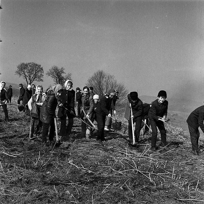 minerva_1986_c3_c9r4_023