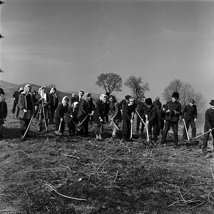 minerva_1986_c3_c9r4_024