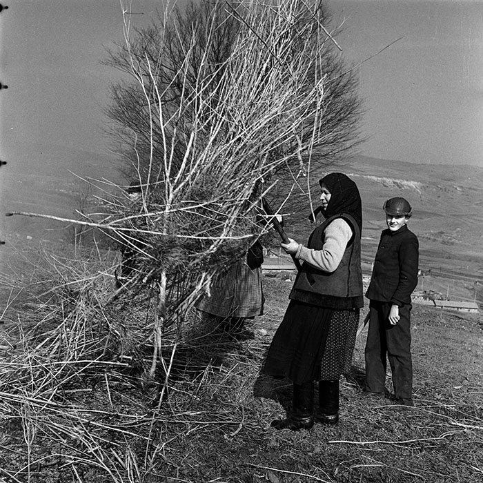 minerva_1986_c3_c9r4_025