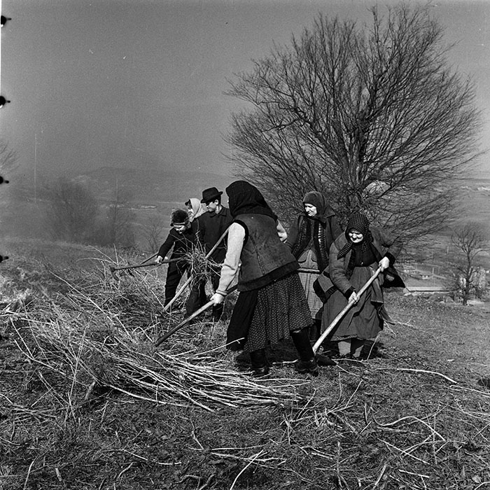 minerva_1986_c3_c9r4_026