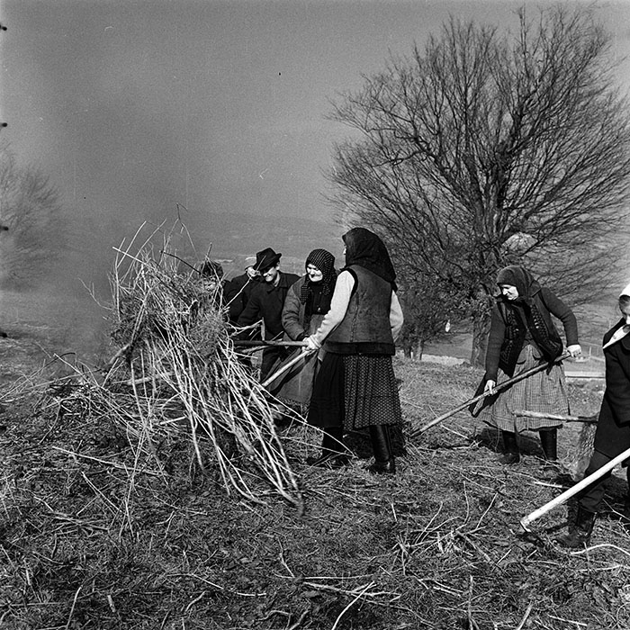 minerva_1986_c3_c9r4_027