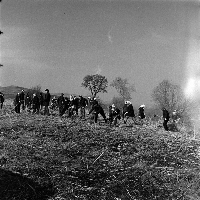 minerva_1986_c3_c9r4_028