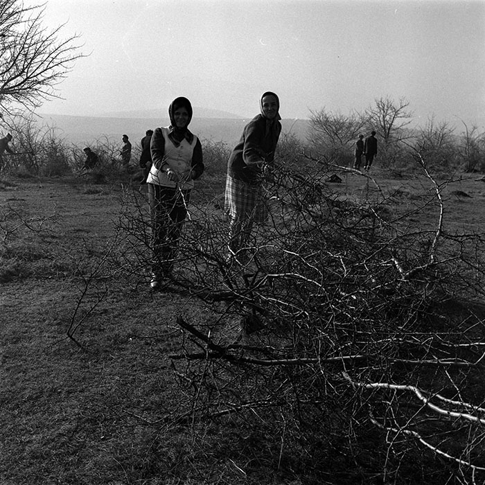 minerva_1986_c3_c9r4_030