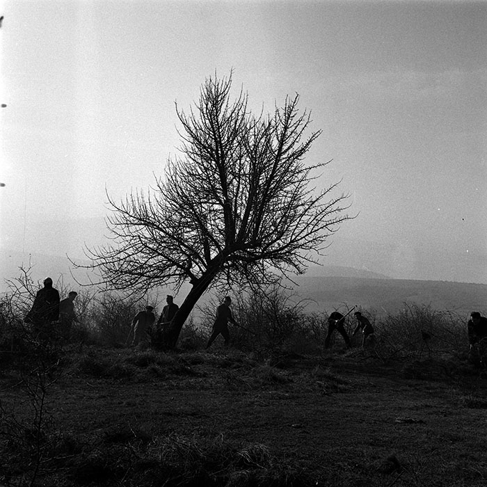 minerva_1986_c3_c9r4_031