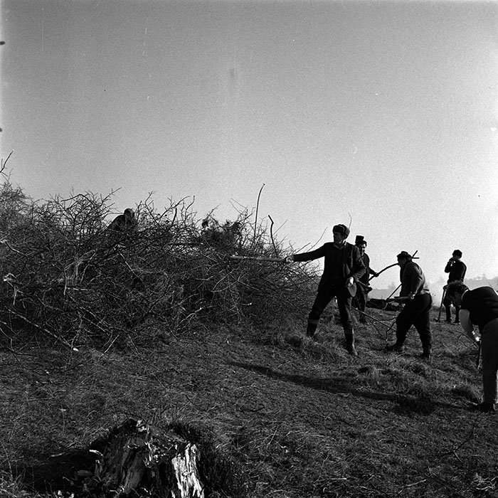 minerva_1986_c3_c9r4_032