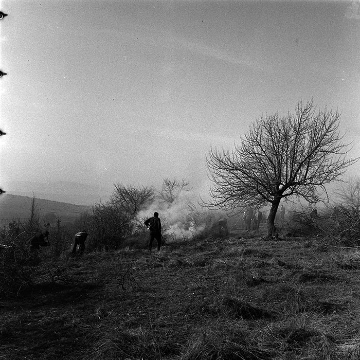 minerva_1986_c3_c9r4_036