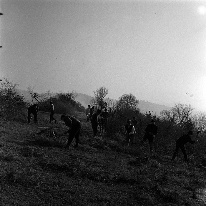 minerva_1986_c3_c9r4_037