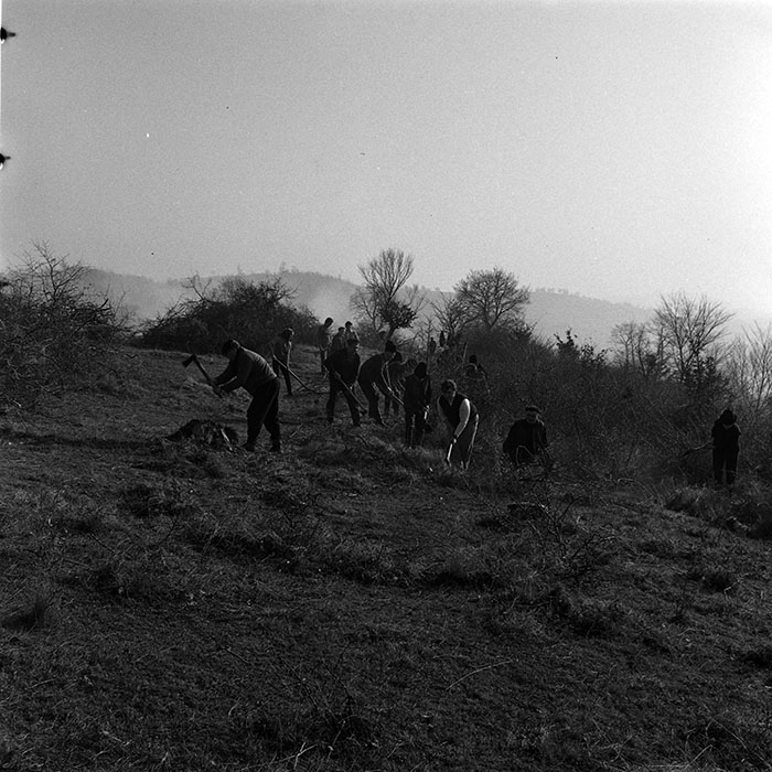 minerva_1986_c3_c9r4_038