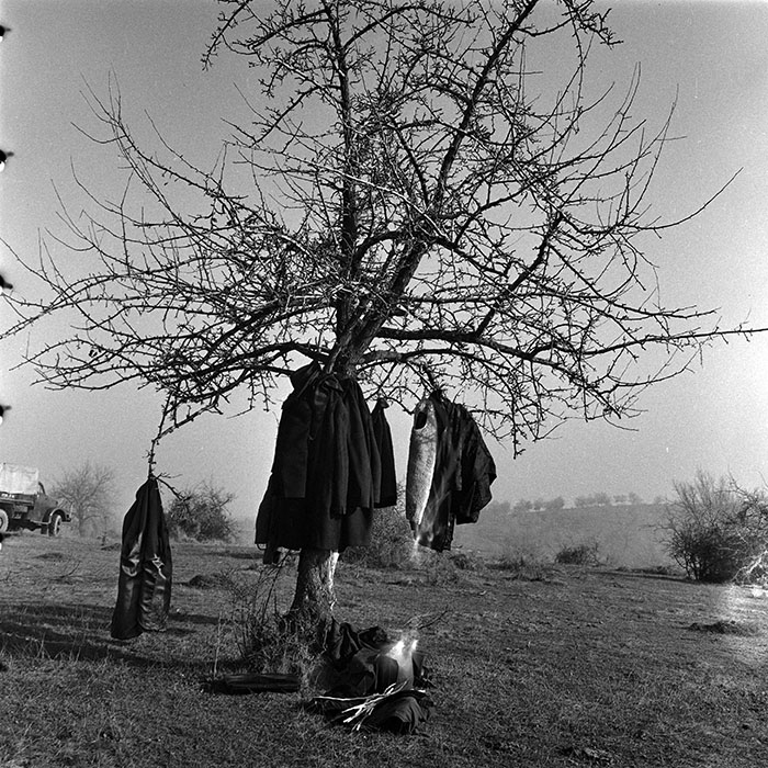 minerva_1986_c3_c9r4_039