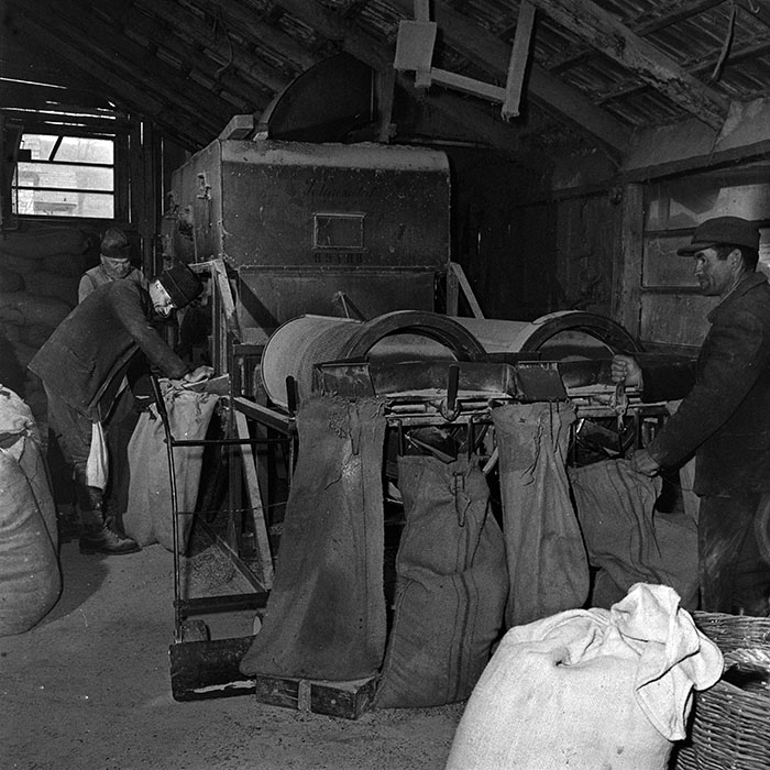 minerva_1986_c3_c9r5_001