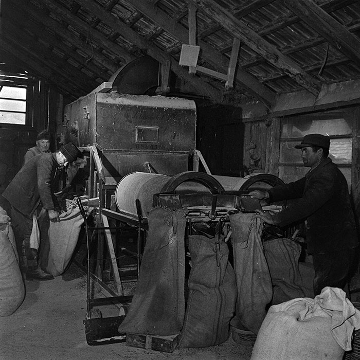 minerva_1986_c3_c9r5_002