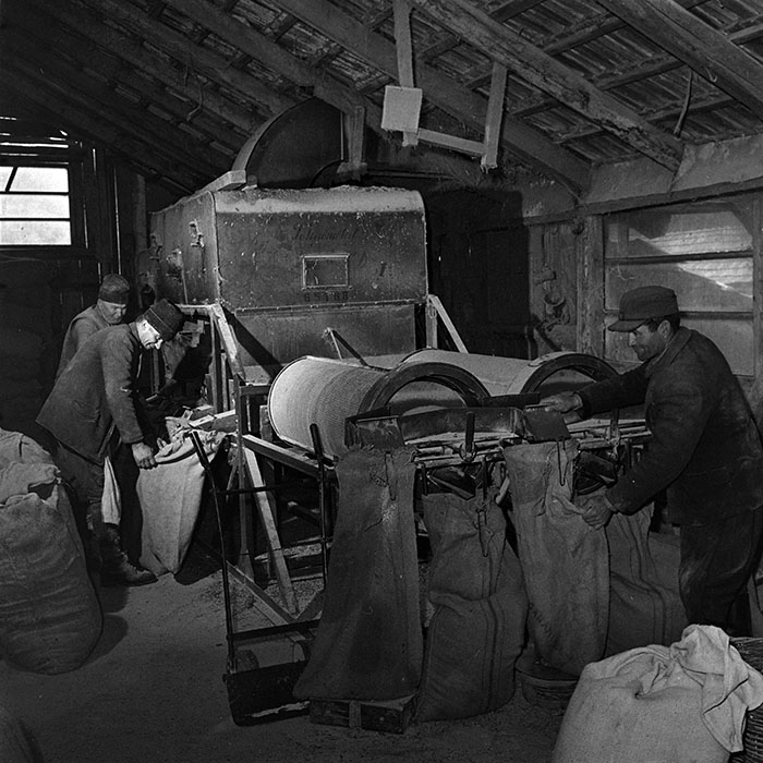 minerva_1986_c3_c9r5_003