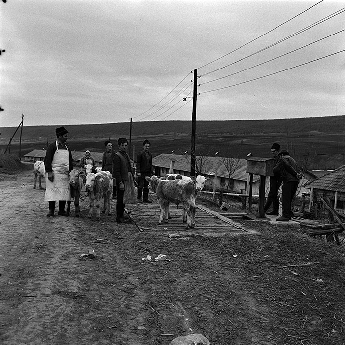 minerva_1986_c3_c9r5_007