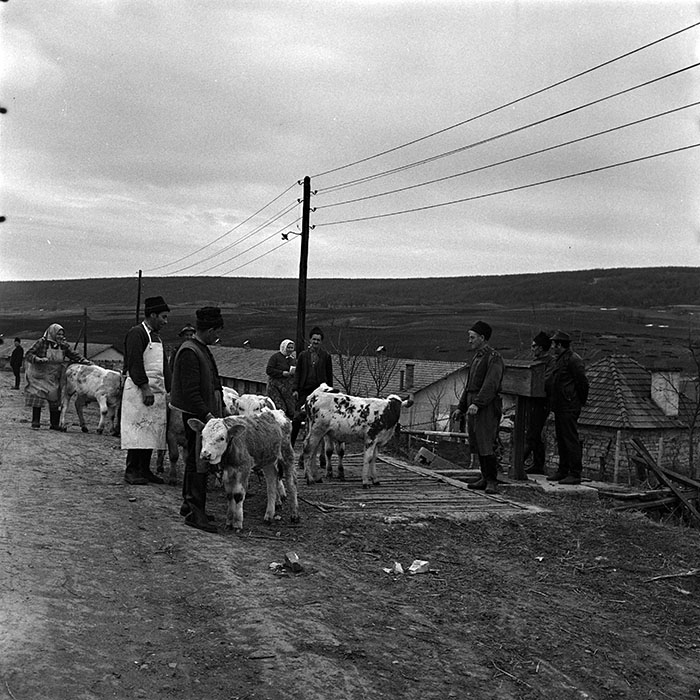 minerva_1986_c3_c9r5_008