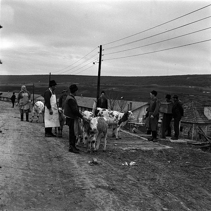 minerva_1986_c3_c9r5_009