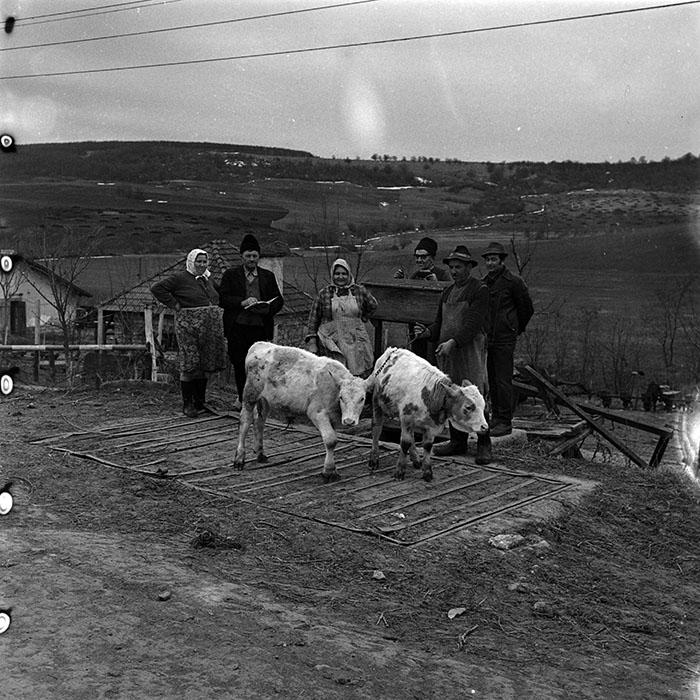 minerva_1986_c3_c9r5_012