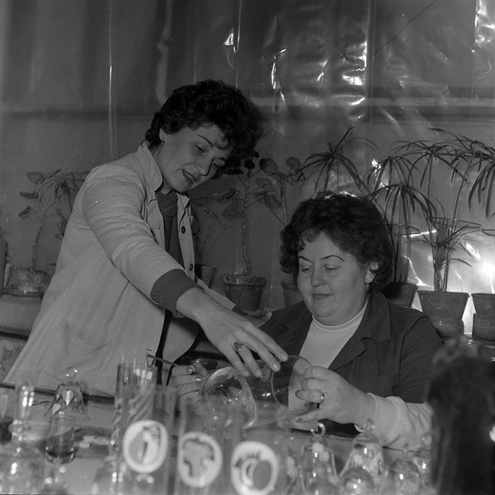 minerva_1987-1988_Industrie_c2_c3r1_001