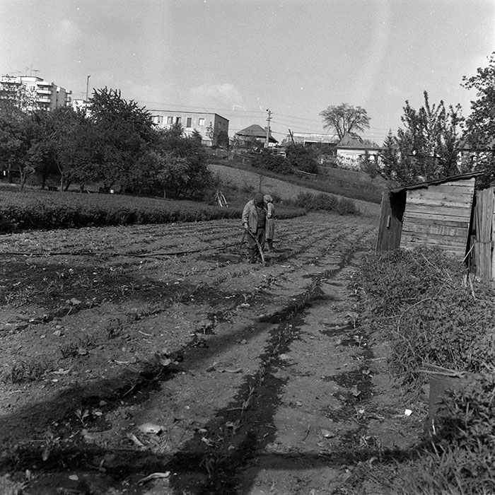 minerva_1987-1988_Industrie_c2_c3r5_024