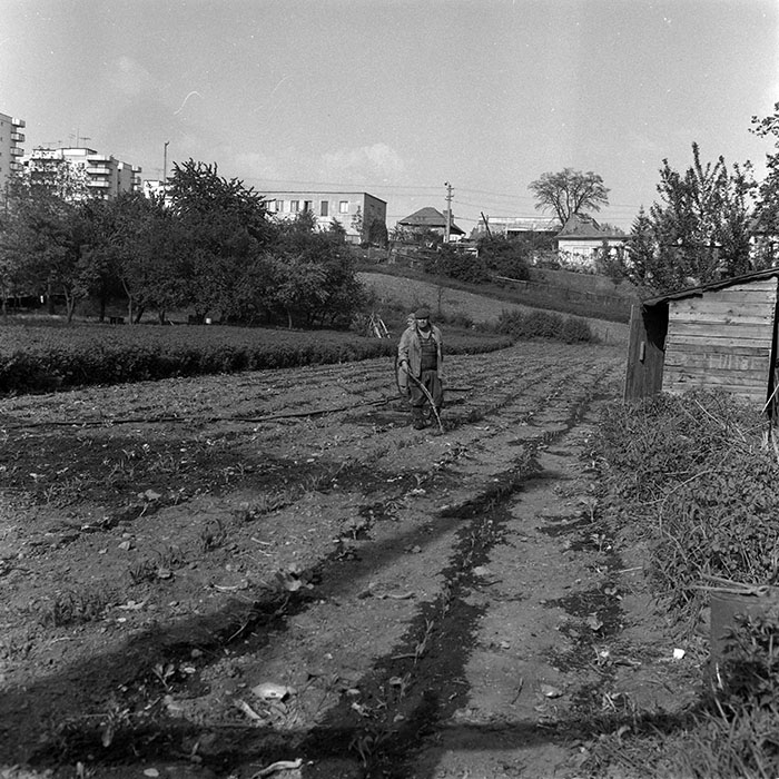 minerva_1987-1988_Industrie_c2_c3r5_025