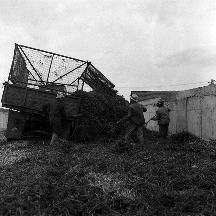 minerva_1987-1988_Industrie_c2_c6r2_008