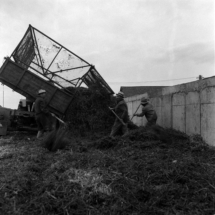 minerva_1987-1988_Industrie_c2_c6r2_009